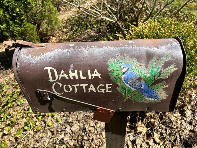 Photo - North AVL -  Renovated Arts & Crafts Cottage