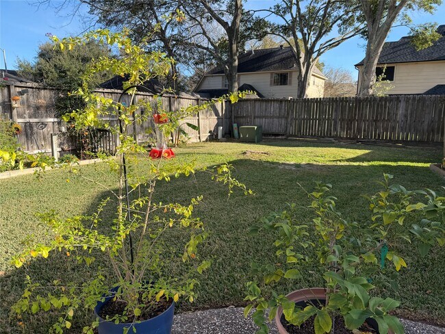 Photo - 20307 Pittsford Dr