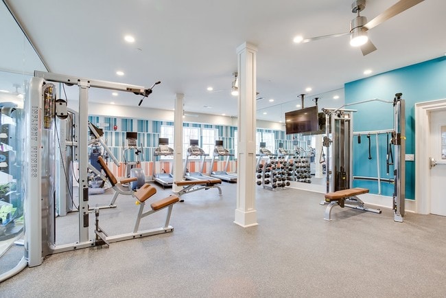 Gimnasio