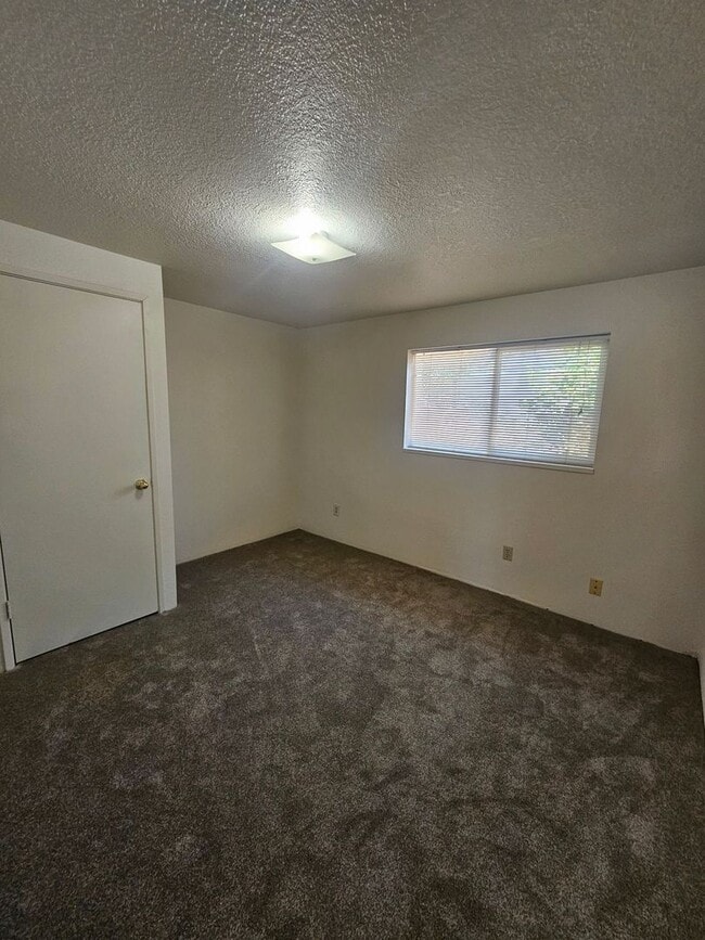 Photo - MF004-10th St Dup-Pine Unit 434