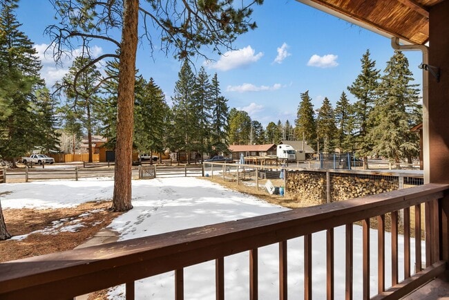 Photo - 3 Bed 2 Bath Fully Furnished in Woodland Park