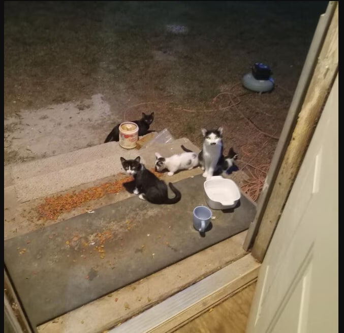 Photo - 281 Gholson Ave Unit A