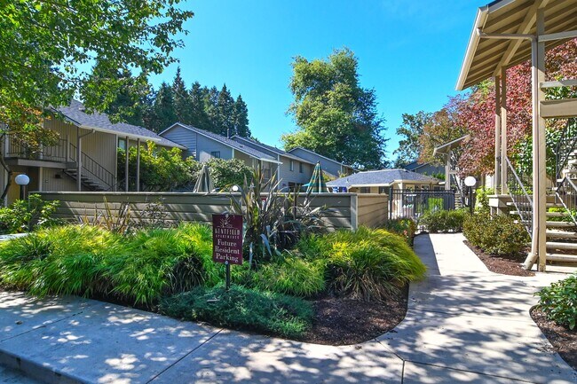 Kentfield Apartments - Kentfield Apartments