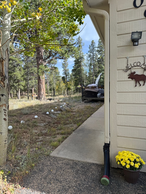 Photo - 206 E Dory Dr