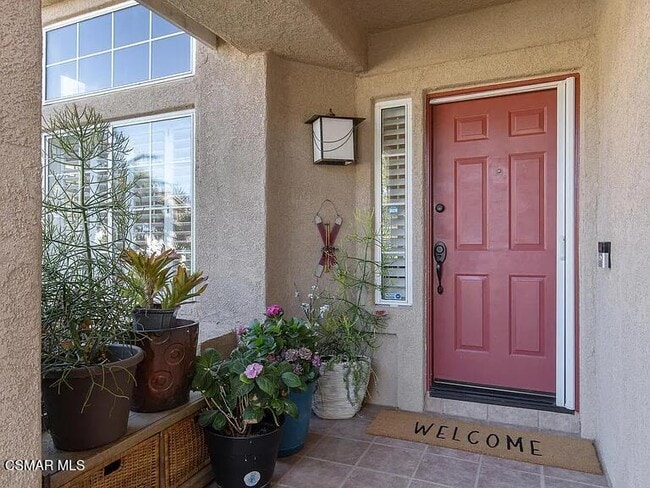 290 Virgo Ct