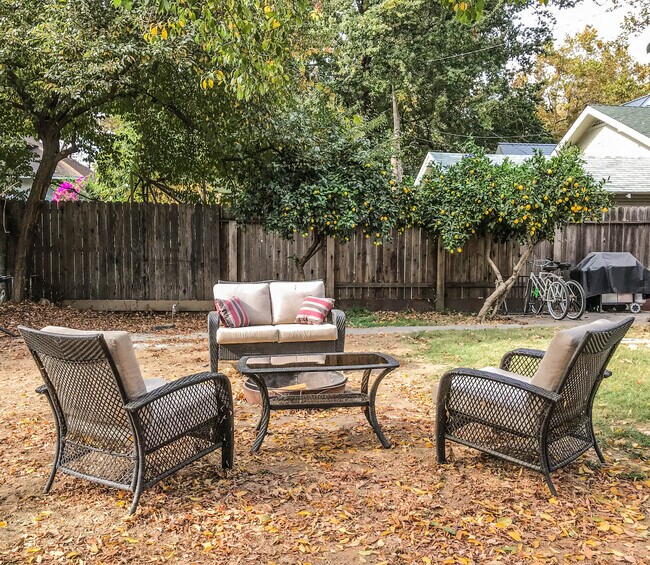 Shared backyard and fire pit
