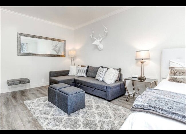 Photo - Downtown! Gorgeous Main Floor Furnished Studio