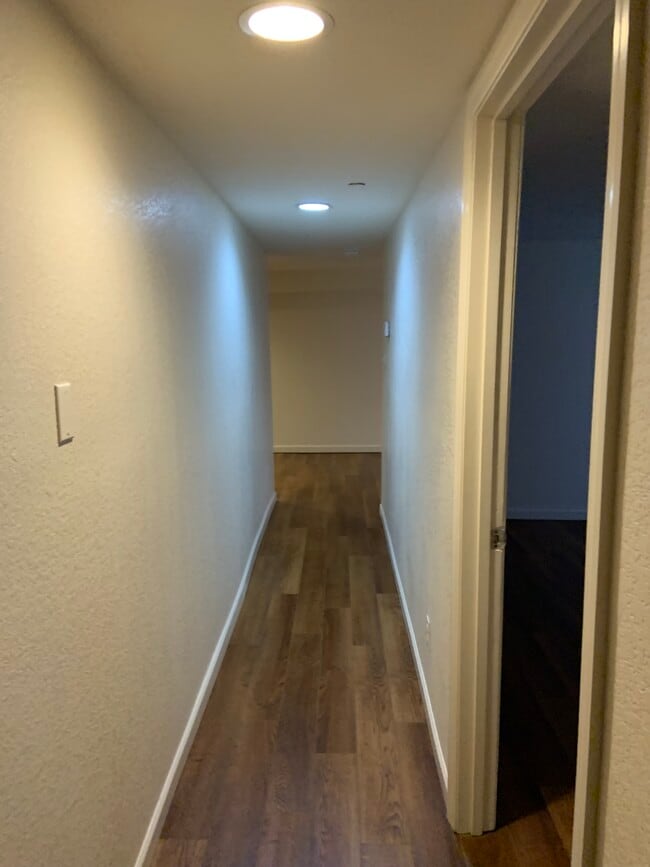 Photo - 211 Willey St