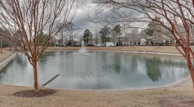 Building Photo - VILLAS AT BELLAMY