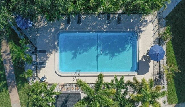 Pool and Sun Deck