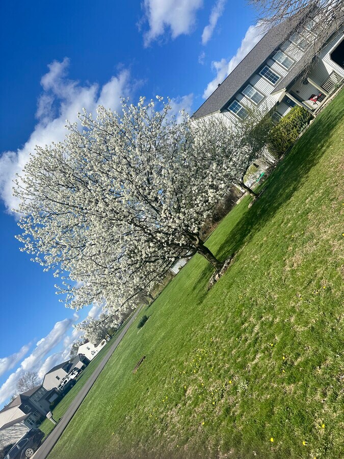 Photo - 2615 Lincolnshire Dr