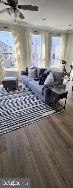 Photo - 219 Willis St