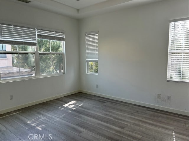 Photo - 67 Island Coral