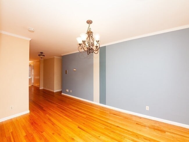 387 Harvard St Unit 5