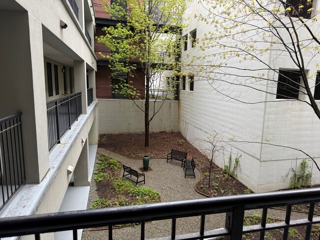 Photo - 40 College St Unit 204