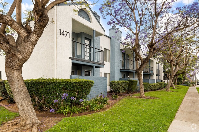 Building Photo - Mar at Grove Rental