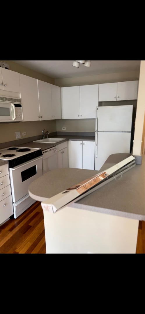 Photo - 405 N Wabash Ave Unit 308