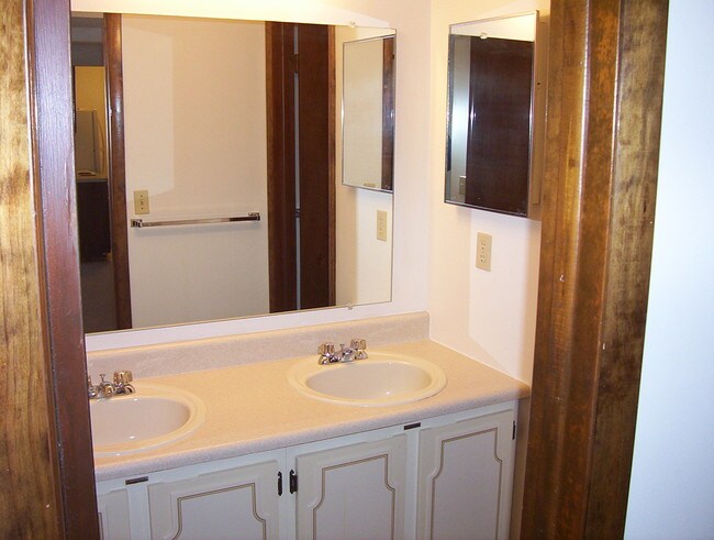 Check out our double-vanity sinks.