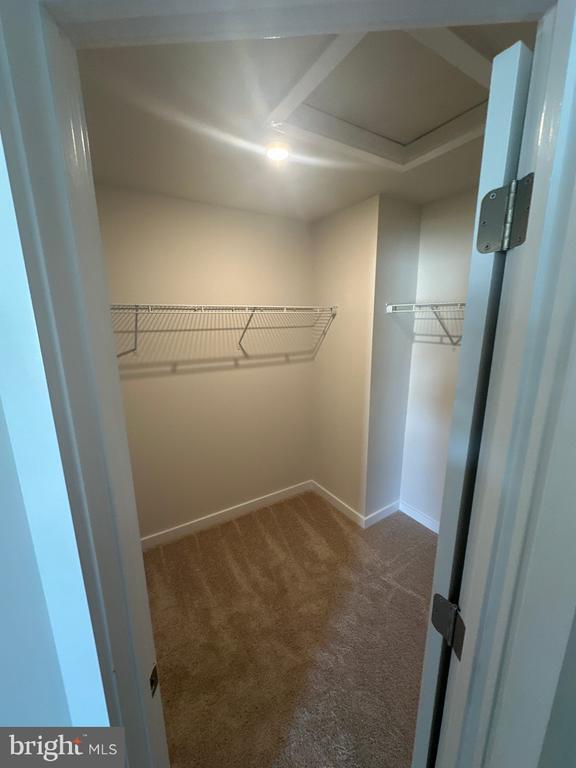 Photo - 29 Trotting Rd