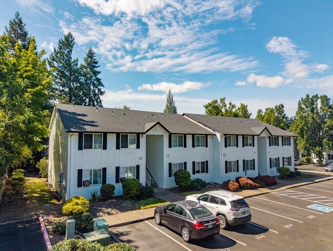 Photo - Bluebird Keizer