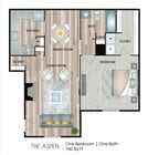 THE ASPEN