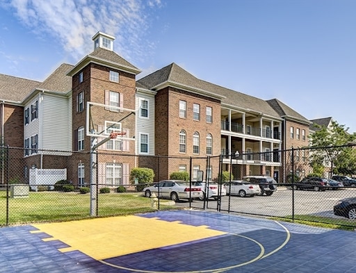 Basketball Court