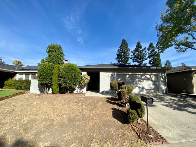 Nice Single Level Home in Martinez! - Nice Single Level Home in Martinez!