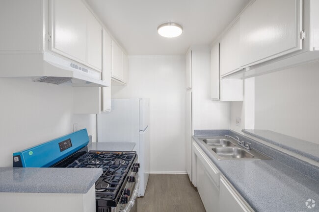 1BR, 1BA - 520SF - Kitchen