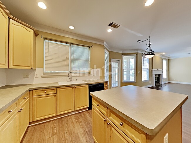 Photo - 1238 Wood Iris Ln