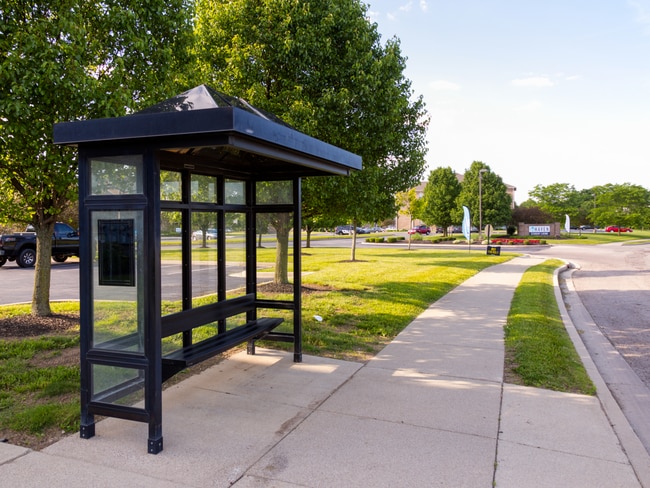 The Haven - The Haven