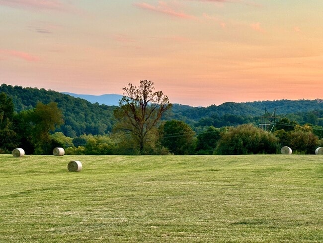 Photo - Writer's Retreat is a sweet rustic log cabin with 1 BR, 1 Ba located 4 miles from Lexington.