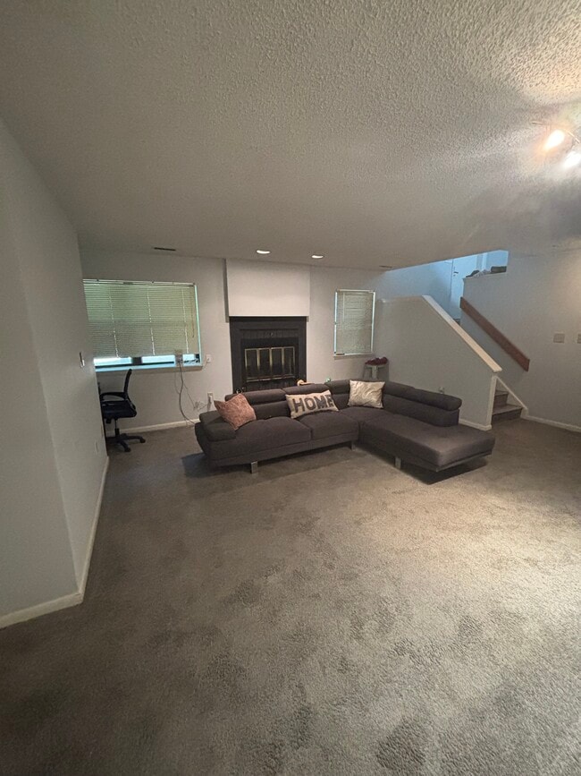 Basement living room - 596 Wild Flower Glade