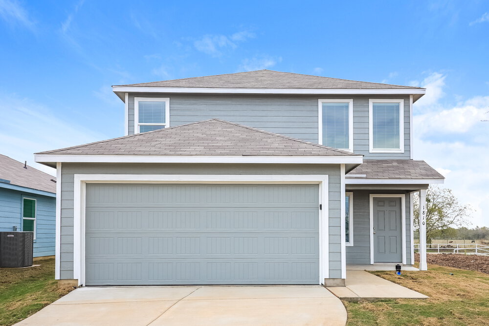 Photo - 1810 Musk Rose