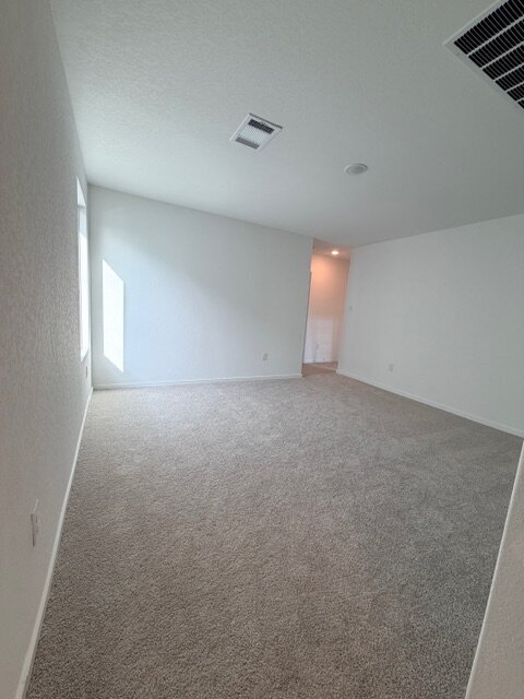 Photo - 2831 Red Diamond