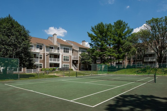Elms Oakton