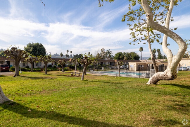 Grass Area