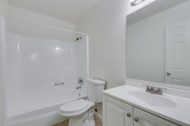 Photo - Desert Sunshine 1