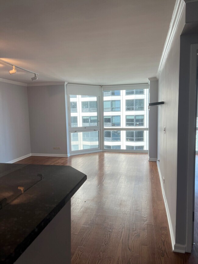 Photo - 195 N Harbor Dr Unit 3807
