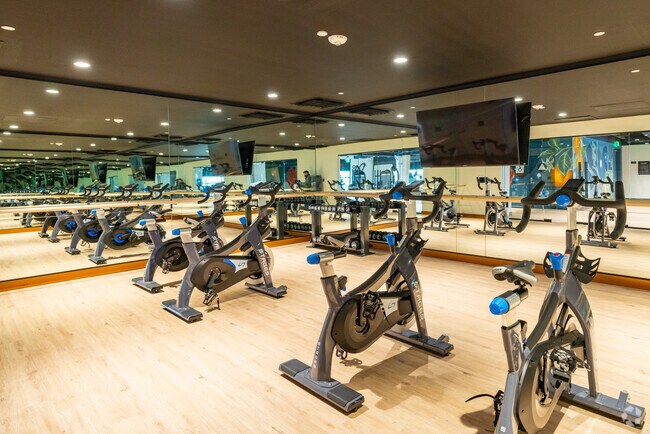 Fitness Center - Webster Eleven