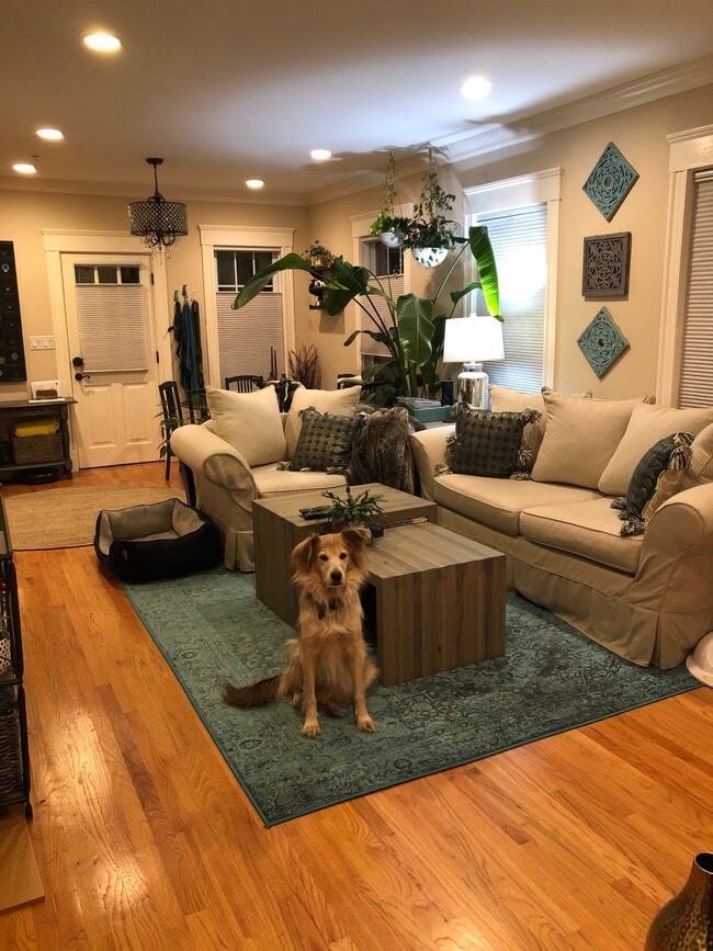 Building Photo - 147 Hudson St Unit 1