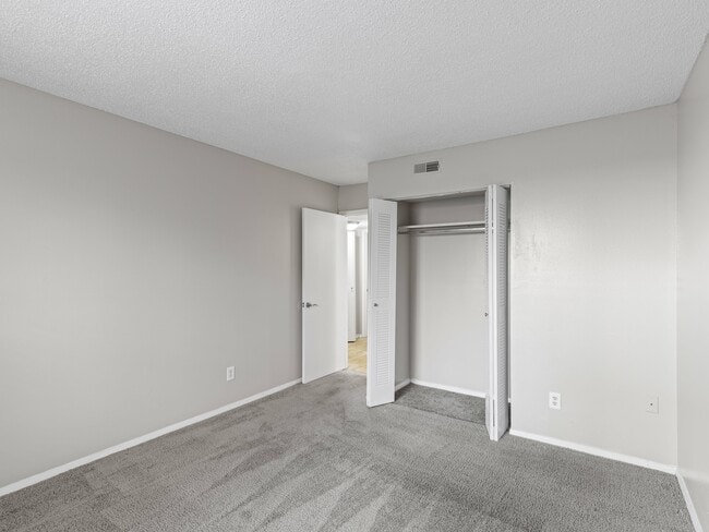 Zelda Pointe