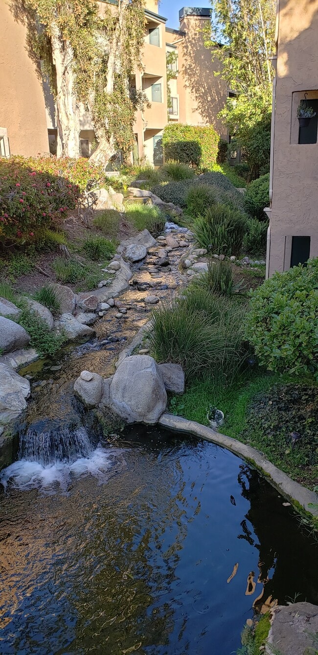Creek