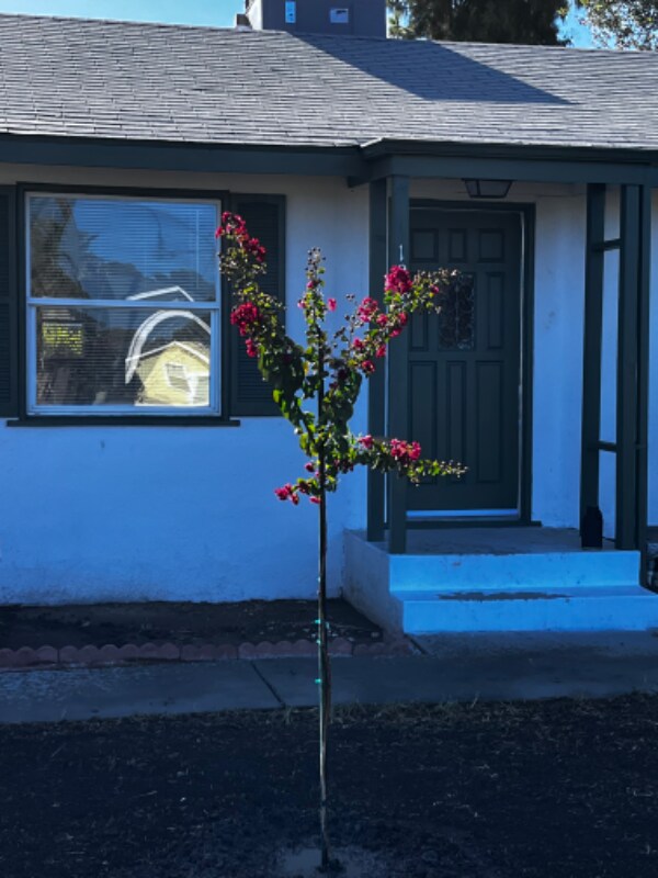 Photo - 1208 N 11th Ave