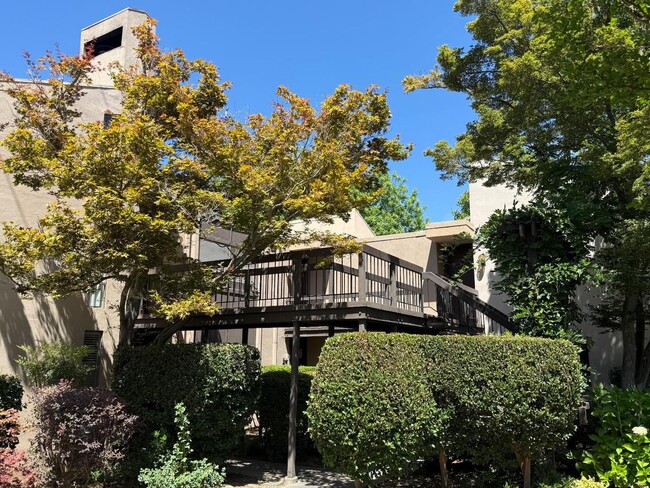 Photo - LOVELY, SPACIOUS UPSTAIRS CONDO! Unit 6