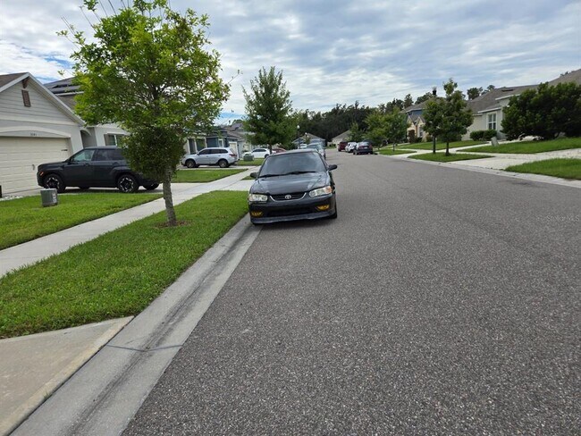 Photo - 3337 Perennial Ln