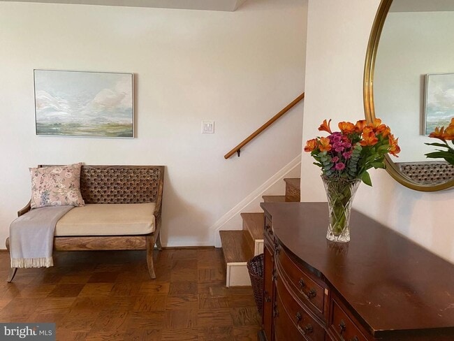 Photo - Show stopper