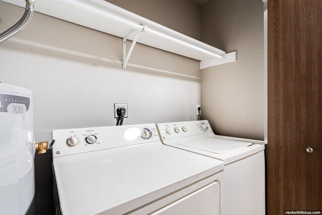 Photo - Canopy Collection - Canopy Trails