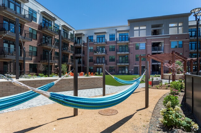 Hammocks