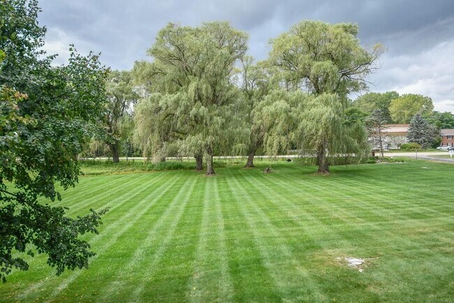 View from Bay Window - 20295 Independence Dr Unit c