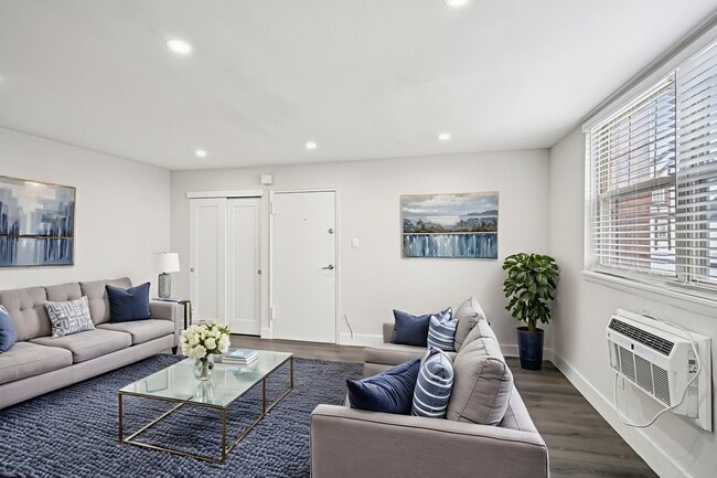 Domino Lane Apartments